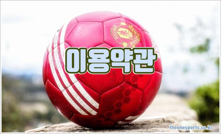 이용약관 이용약관